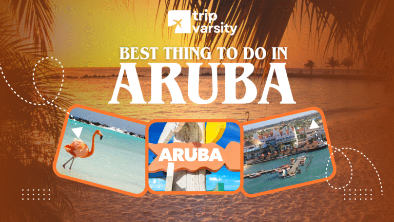Best Things to Do in Aruba: Your Complete 22-Point Activity Guide
